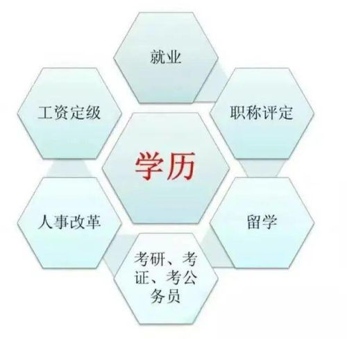 考试与教育信息咨询 深度解析与价值探索